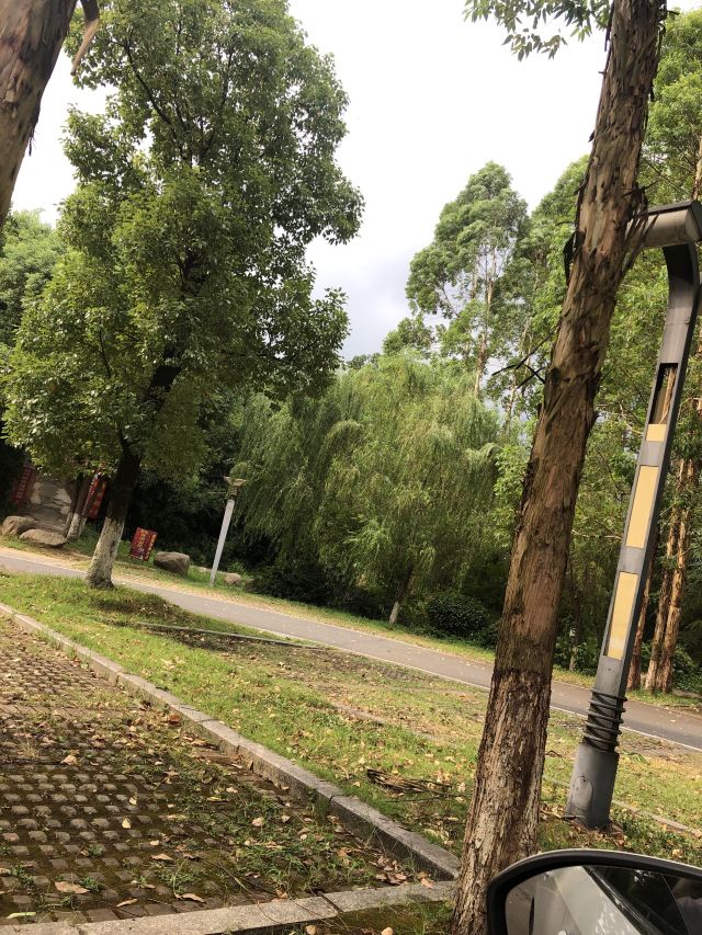 南湖景区旅行图片 1