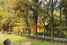 九峰山瑞岩景区-宁波-C-IMAGE