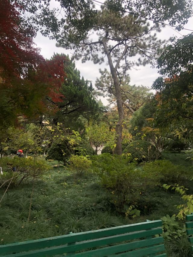 莘庄公园旅行图片 3