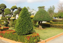 Wat Thanyaphol景点图片