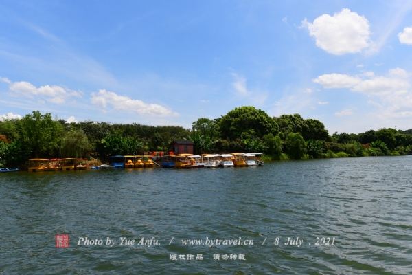七里海澙湖湿地旅行图片 1