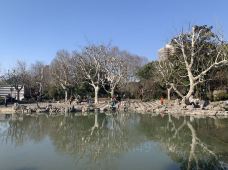 复兴公园-上海-青衫惊鸿客