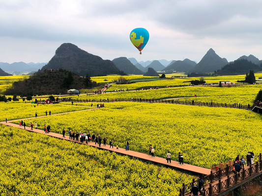 云南旅游：徜徉油菜花海罗平记（图）