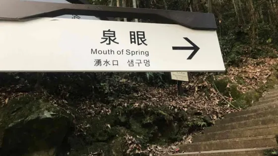 泰順氡泉省級自然保護區