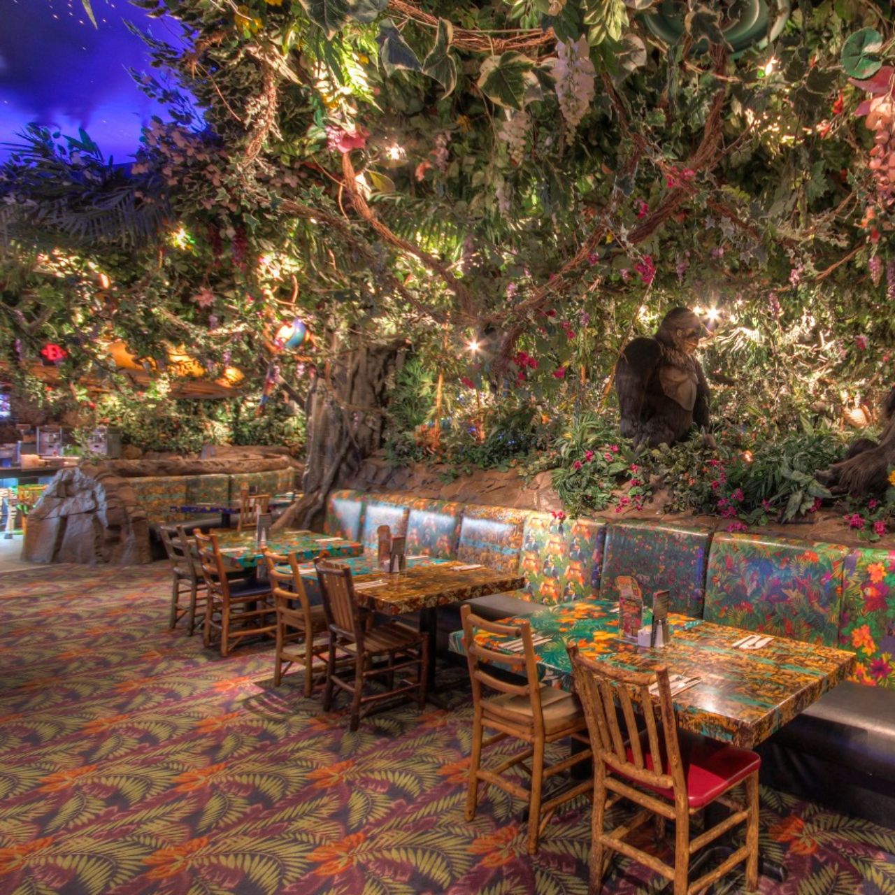 Rainforest Cafe餐厅图片