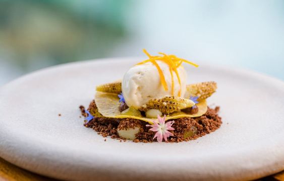 Jungle Fish Pool Bar