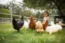 天堂农庄-奥克森福德