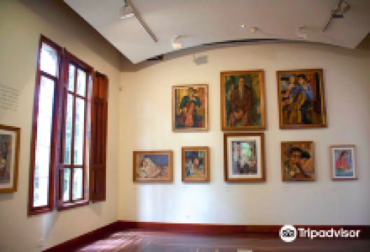 佩德罗内尔戈麦斯博物馆景点图片