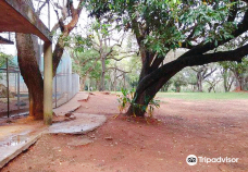 Botanical Garden of Asunción-亚松森