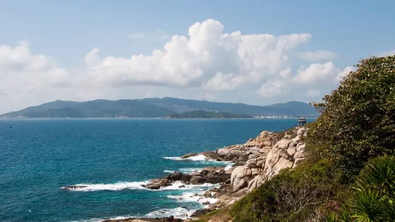 交流島