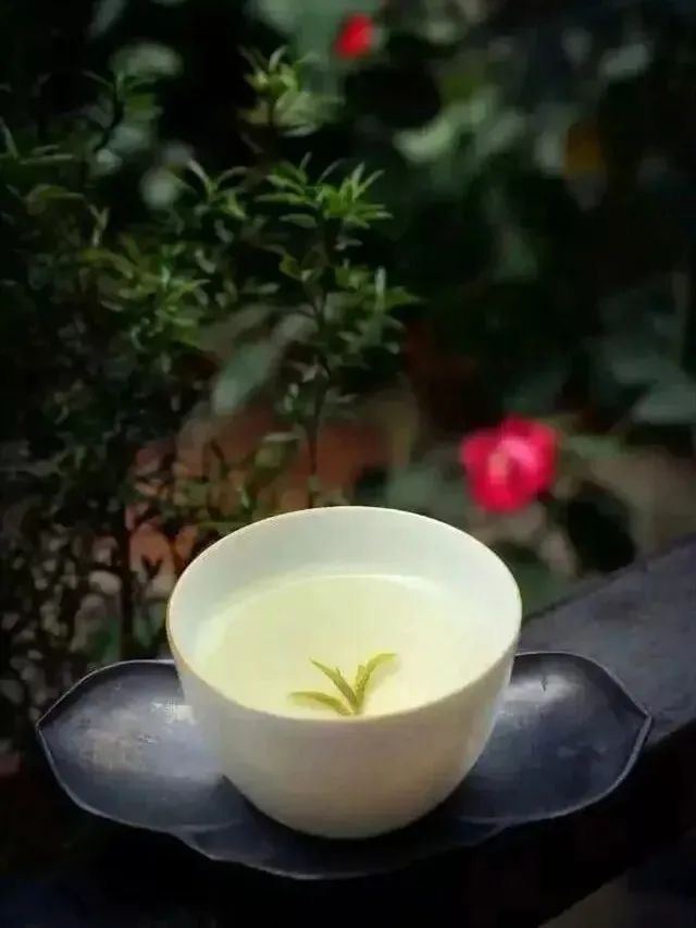 江浦公园旅行图片 3