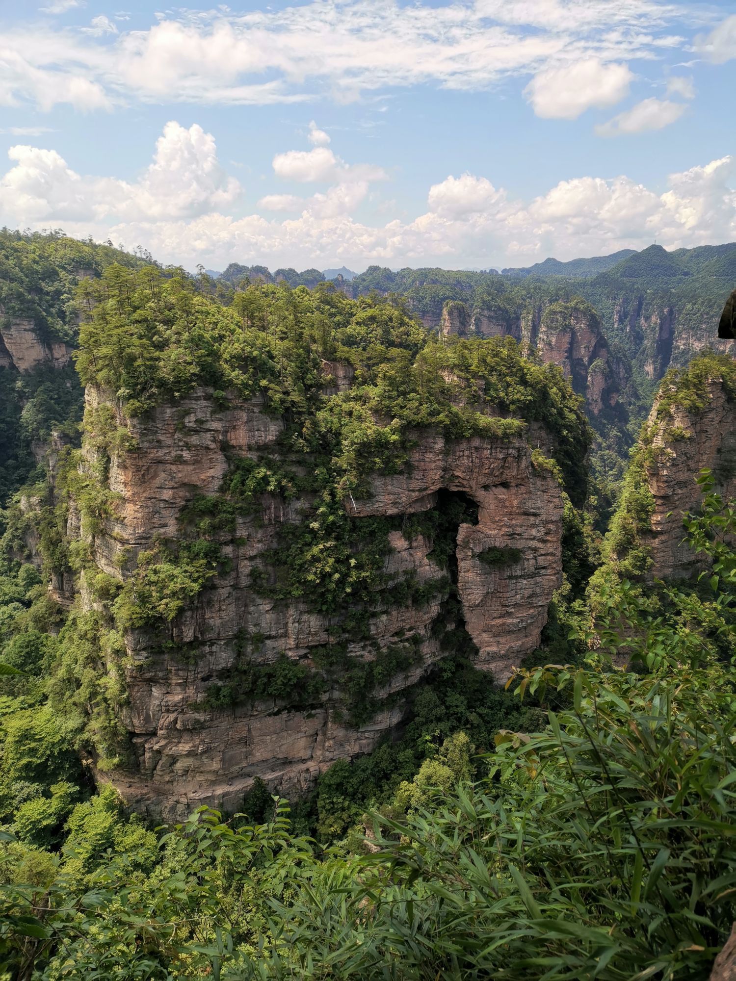 黑枞垴