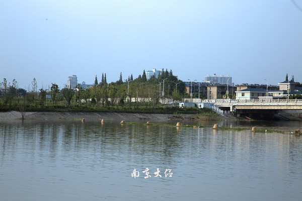 漫游江都,看公路与水网编织的风景