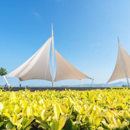厦门+鼓浪屿+福建土楼永定景区5日4晚跟团游