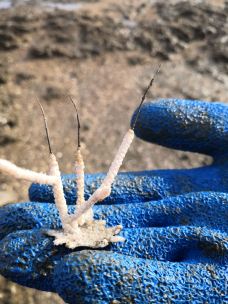 华欣海滩-华欣-thedirty