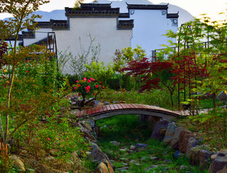 追寻黄山太平湖秋色