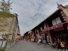 万载古城-万载-大松树叶子