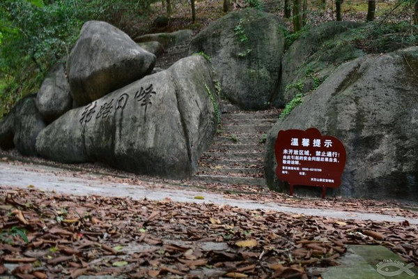 天柱山我来了  GOGOGO