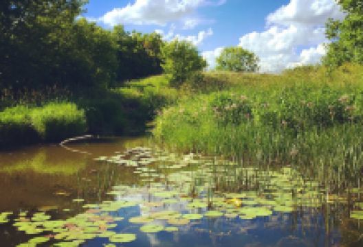 龙湖国家湿地公园景点图片