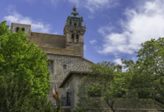 Jardins Rei Joan Carles景点图片