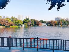 荔湾湖公园-广州-璞石天祺