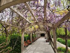 杨浦公园-上海-秒懂风景