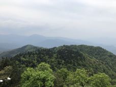 云山国家森林公园-武冈-_CFT0****4663
