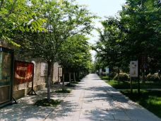 徐州市回龙窝历史文化街区-徐州-D了个Y