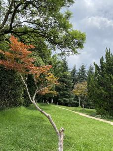 宝海公园-昆明-天空中的海绵