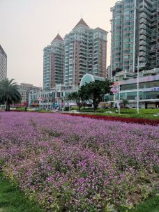 珠海拱北口岸-珠海-不可触碰撞的鱼