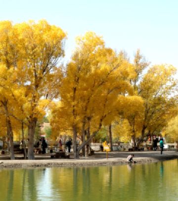 金塔游记图文-2020年秋租车自驾甘、青大环线（二）：酒泉，嘉峪关