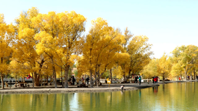 2020年秋租车自驾甘、青大环线（二）：酒泉，嘉峪关