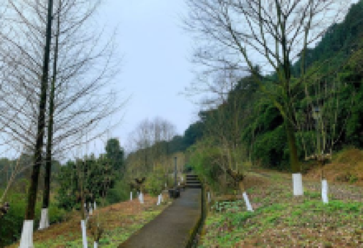 铜锣峡谷景点图片