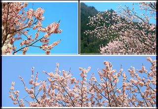 女神节游玩攻略来咯，快来享受属于你的假期吧~