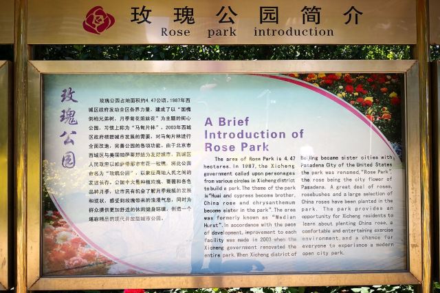 玫瑰公园旅行图片 5