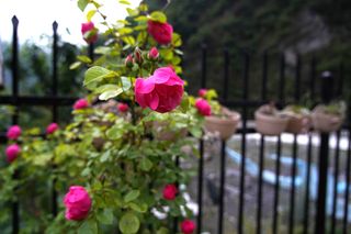 汶川100景 | 巴适！汶川这家宝藏级网红餐厅，值得前来打卡！