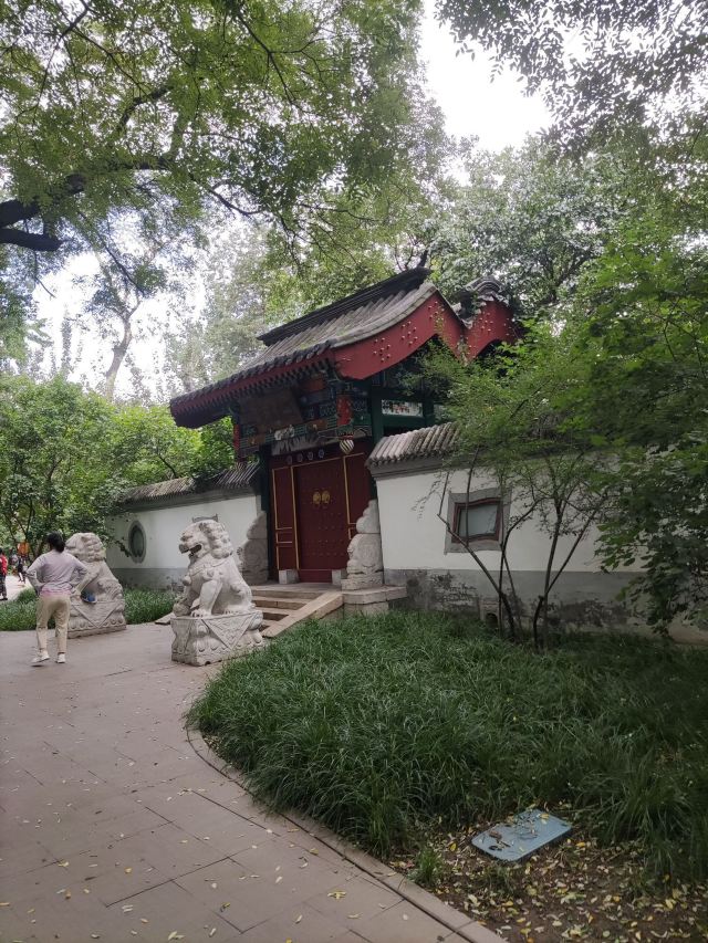 宣武艺园旅行图片 2