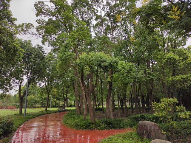 横沔公园旅行图片 1