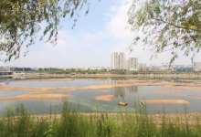 桥头公园景点图片