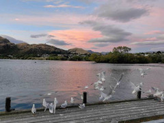 皇后镇游记图片] 云游四海（1633）皇后镇希尔顿酒店