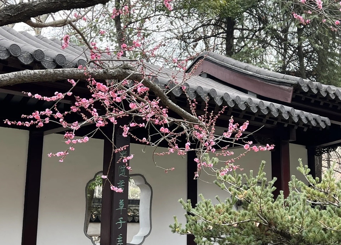 雨花台风景名胜区-梅岗