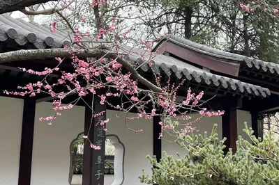 雨花台风景名胜区-梅岗