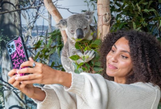 悉尼蓝山+费瑟戴尔动物园一日游中文11人团/上门接/3段缆车【探索世界文化遗产蓝山国家公园,漫步雨林栈道,呼吸新鲜空气,乘坐3段缆车,感受蓝山的神奇】