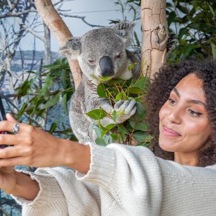 悉尼蓝山国家公园+费瑟戴尔动物园一日游中文11人团/上门接