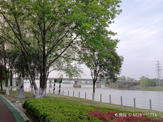 兴化市森林公园
