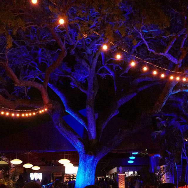 Crown & Bull餐厅图片