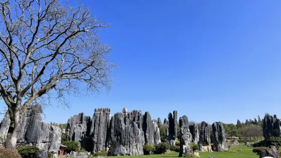 大石林景區-劍峯池