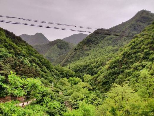 崛山森林公园