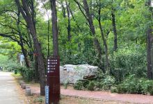 红坛寺森林公园景点图片