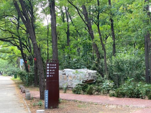 红坛寺森林公园